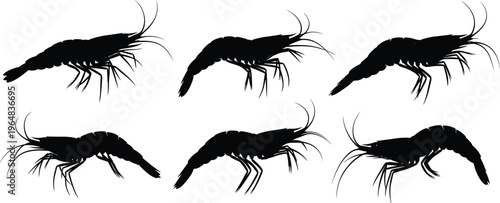 Krill silhouette vector set. Detailed marine crustacean collection with antenna and segmented bodies. Black ocean wildlife illustrations for underwater ecosystem and biology design.