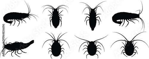 Krill silhouette collection. Small marine crustacean vector set with antenna and body variations. Black ocean wildlife illustrations for underwater ecosystem and biology design.