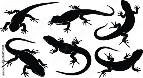 Lizard silhouette collection. Small reptile vector set with dynamic poses and curved tails. Black animal illustrations for wildlife design, tropical themes and nature concepts.