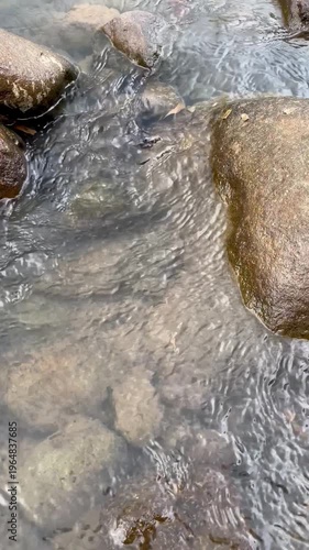 Crystal Clear Mountain Stream Water Flowing Gently Over Smooth River Stones in Nature