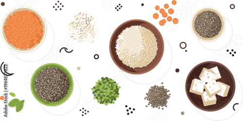Plant based protein ingredients vector with lentils, quinoa, tofu, seeds and grains, healthy vegan nutrition foods in clean flat illustration style