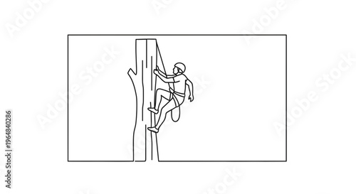 Arborist climbing tree with equipment, outdoor activity, healthy lifestyle, nature, professional work