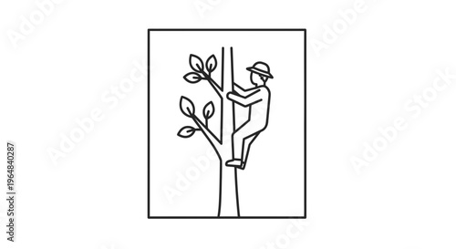Arborist Climbing Tree with Hat and Leaves, Outdoor Activity, Nature