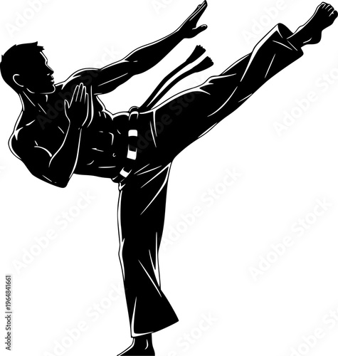 Dynamic monochrome depiction of a capoeira stance with striking
