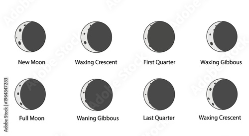 Phases of the Moon Celestial Bodies in Space.
