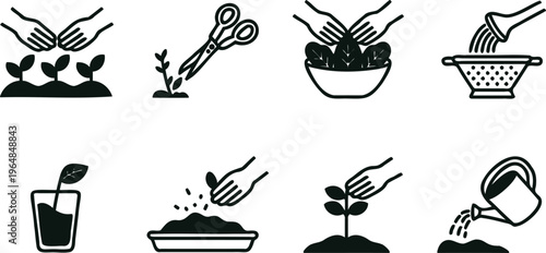 Plant care and gardening icons including hands planting seedlings and watering can on white background