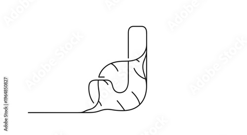 Abstract ginger root line art illustration showcasing its unique gnarled form on a clean white