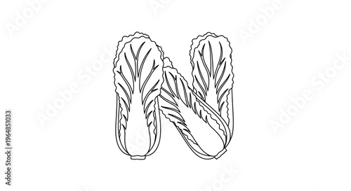 Monochrome illustration of chinese cabbage forming the letter N on a white backdrop vector art