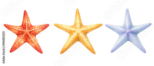 Watercolor starfish collection illustration, colorful sea stars isolated on white background.
