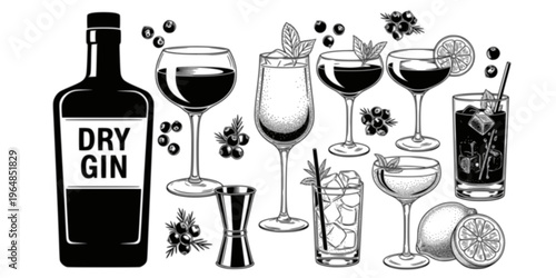 Dry gin bottle, cocktails, juniper berries, jigger and lemon engraving vector illustration
