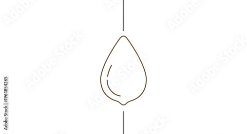 Minimalist line art illustration of a single stylized water drop or organic seed element graphic