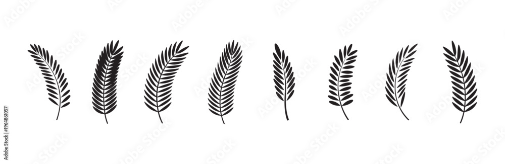 Fototapeta premium Various palm leaf silhouettes on white background, exotic jungle fronds vector collection.