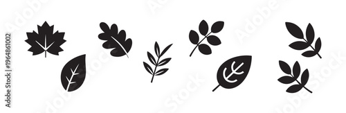 Set of black various tree leaves isolated on white background, vector flat plant icons