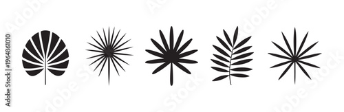 Set of black tropical leaves isolated on white background, vector flat palm leaf icons