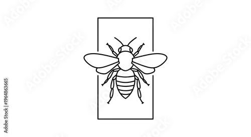 Minimalist Black Line Art Bee Illustration in Rectangle Frame Graphic Design Element