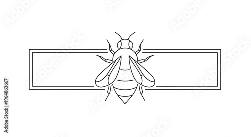 Elegant minimalist outline of a honeybee centered within a clean rectangular border, perfect for