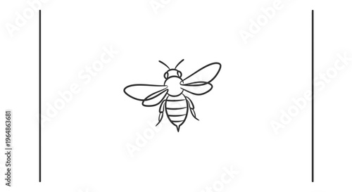 Minimalist artistic line drawing of a honeybee showcasing its simple elegant form and insect beauty