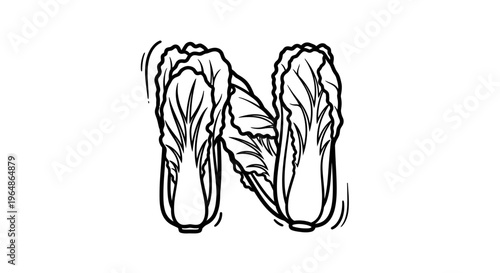 Elegant line art of fresh napa cabbage forming the letter N, perfect for healthy food and