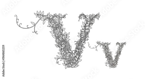 Decorative floral initial V crafted from intricate winding vines and delicate leaves, a