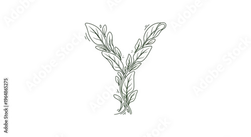 Elegant botanical letter Y intricate line art design on a pristine white background with organic
