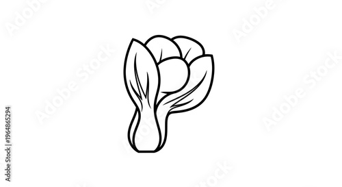 Minimalist outline illustration of a fresh healthy vegetable ready for harvest