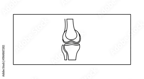 Detailed line art depiction of the human knee joint anatomy for medical and educational purposes