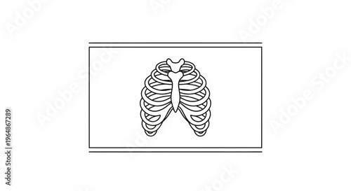 Precise anatomical line art depicting the human rib cage and sternum for biological studies