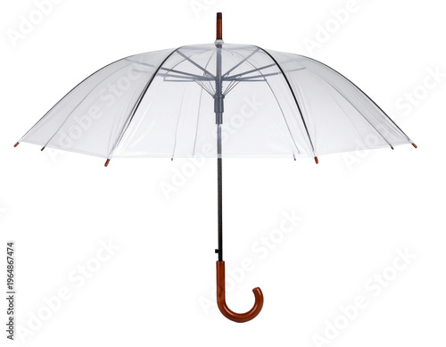 Clear umbrella stands open, showing full structure