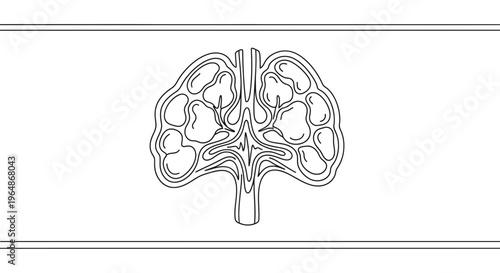 Minimalist line art illustration of a complex internal biological organ system structure