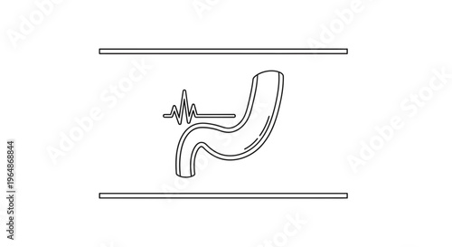 Minimalist Human Stomach Health Monitoring and Gastric Activity Illustration for Medical Concepts