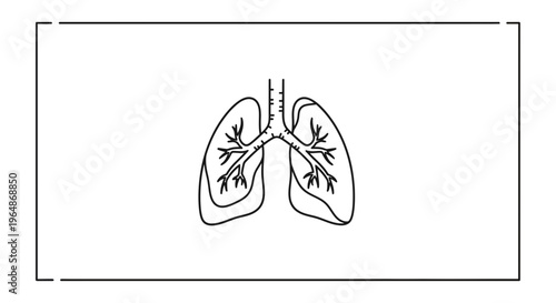 Minimalist human lung outline illustration for medical and health-related design concepts