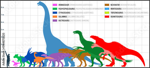 Dinosaur Size Comparison Chart with Human Silhouette – Brontosaurus, Giganotosaurus, Therizinosaurus, Neovenator, Gallimimus, Styracosaurus, Pachycephalosaurus, Bactrosaurus, Dromaeosaurus