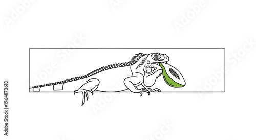 Minimalist line art illustration of a green iguana keenly enjoying a fresh tropical papaya fruit