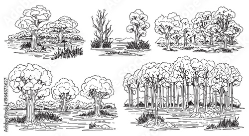 Tree Vector Illustration – Nature CAD Plant Line Art and Architectural Design Element