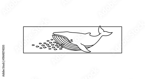 Minimalist graphic depicting a large baleen whale consuming a vibrant school of small fish