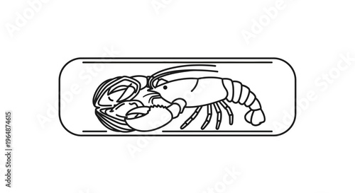 Detailed black outline illustration of a stylized crustacean within a sleek rectangular border
