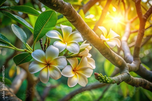 Radiant blossoms bathed in warm sunlight, delicate petals unfurling on a verdant branch