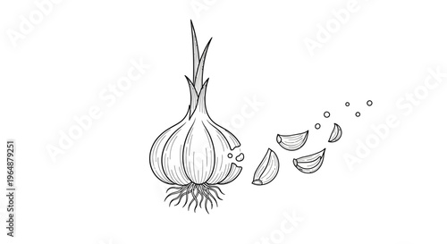 Artistic monochromatic sketch depicting an aromatic garlic bulb alongside its distinct cloves for