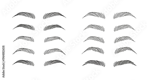 A collection of 16 different eyebrow shapes and designs for makeup and beauty