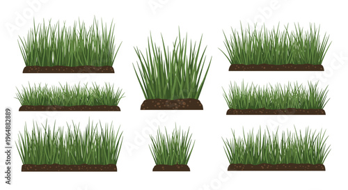 Nine distinct clumps of lush green grass with brown soil are arranged in a grid-like pattern on a clean white background.