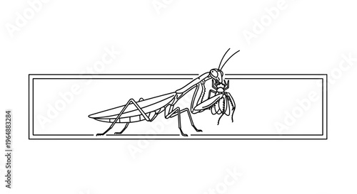 Elegant outline illustration of a praying mantis in profile within a crisp rectangular border