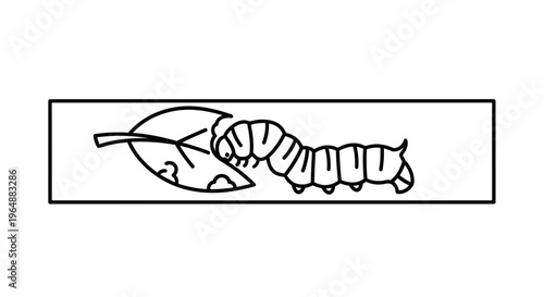 Simple outline illustration of a caterpillar actively consuming a green leaf in nature