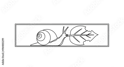 Minimalist line art illustration featuring a garden snail interacting with a partially consumed