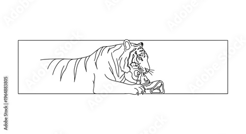 Detailed line art illustration of a powerful tiger feasting on its recent prey, captured in a