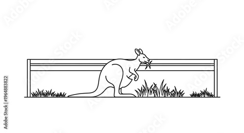 Stylized monochrome line illustration of a kangaroo peacefully nibbling grass beside a rustic