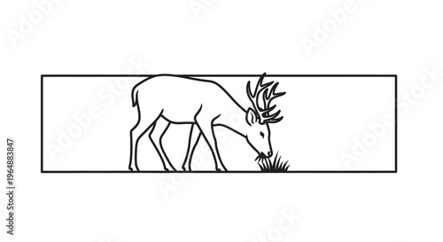 Elegant minimalist deer outline peacefully foraging on grass within a simple border illustration