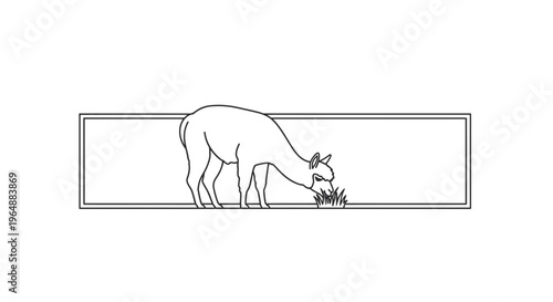 Minimalist outline drawing of a friendly alpaca gracefully grazing fresh green grass within a