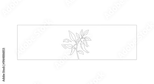 Elegant continuous line illustration of a vibrant chili pepper plant with growing pods and lush