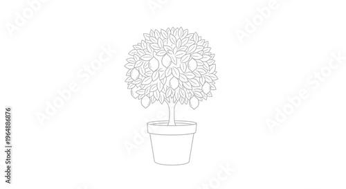 Minimalist outline of a healthy potted lemon tree with ripening fruit, perfect for various design