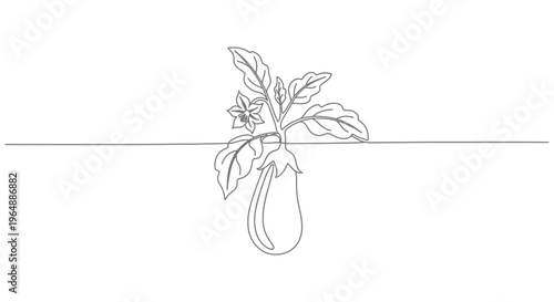 Abstract continuous line drawing of an eggplant plant with fruit and flower minimalist vector